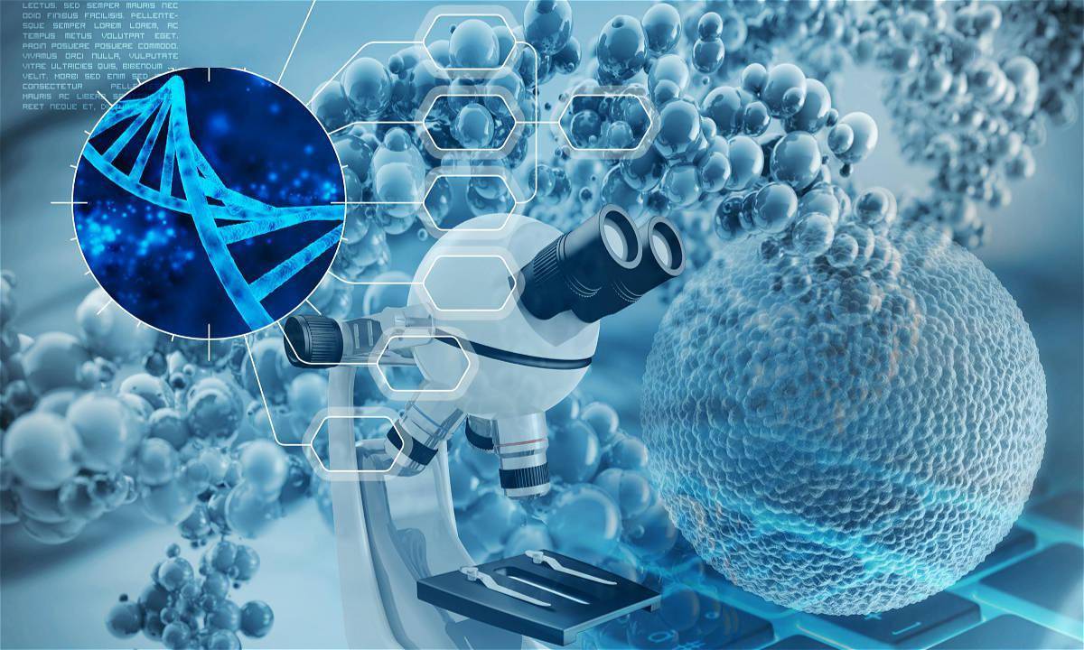 生物基材料及中間體研發(fā)商利夫生物完成近兩億元b輪__