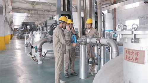以專精強(qiáng)根基 以突破拓新局 生物基材料技術(shù)研發(fā)